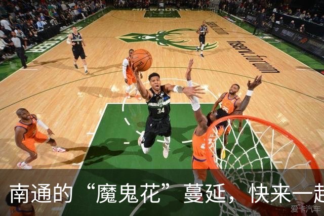 南通的“魔鬼花”蔓延，快来一起对抗入侵者！
